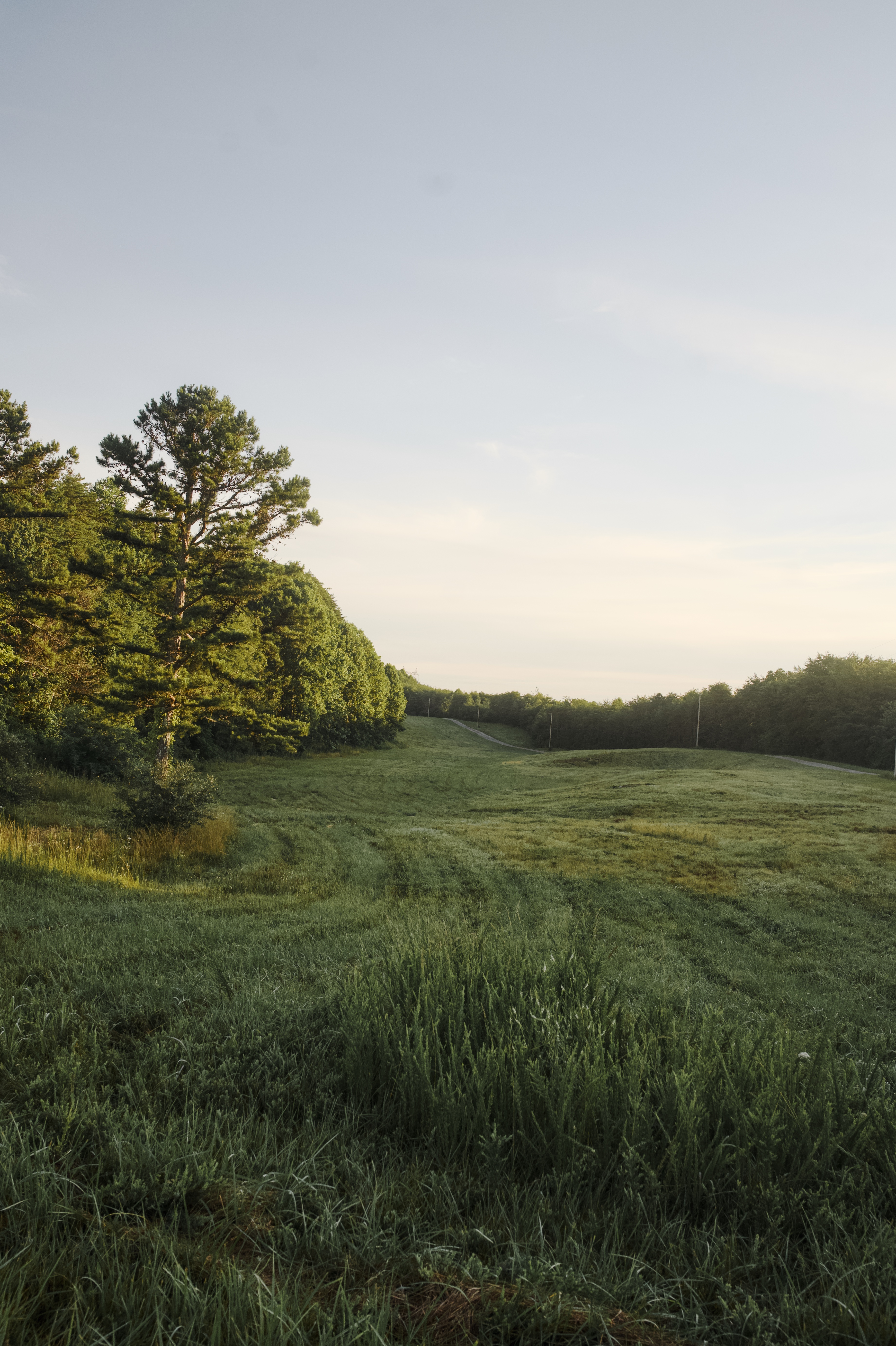 Fields at the eco-village