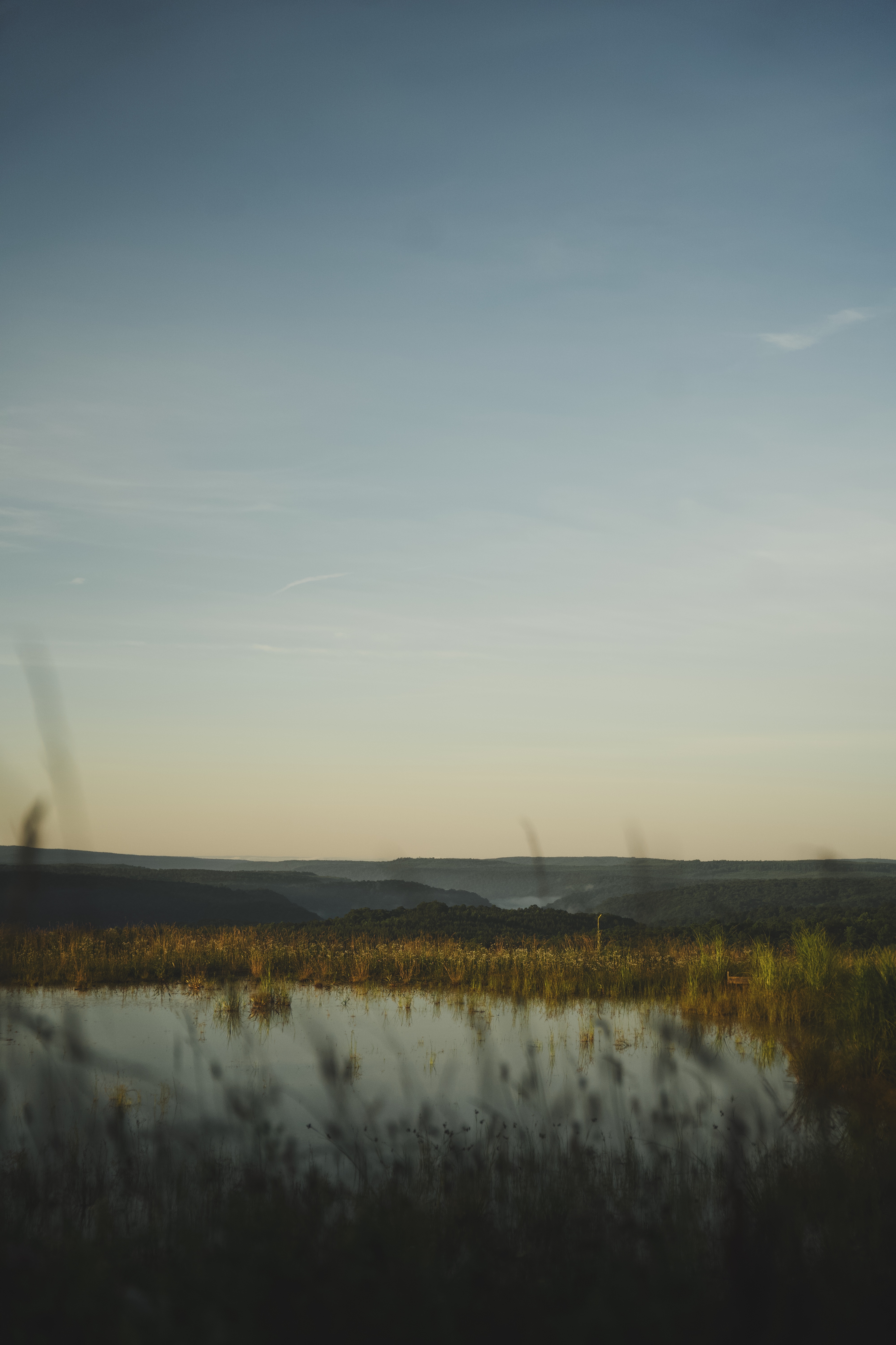 Pond on the land